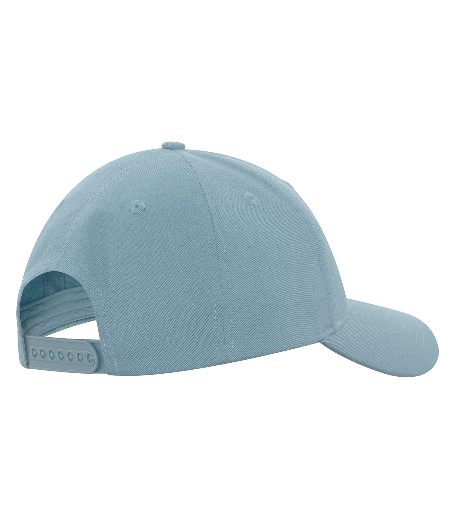 KOI1831 Blue Mist – Back
